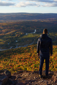 Rear view of man standing on land