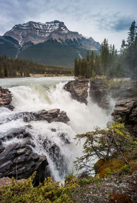 Scenic view of waterfall in forest