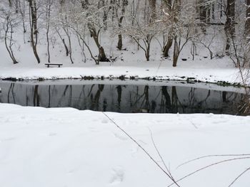 Snow covered landscape and bare trees