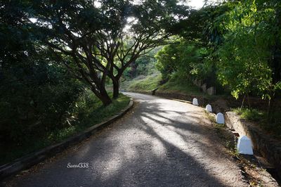 Road amidst trees against sky