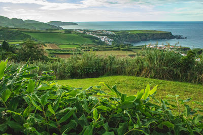 Scenic view of agricultural field against sky