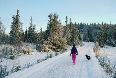 Full length of dog on snow covered landscape during winter