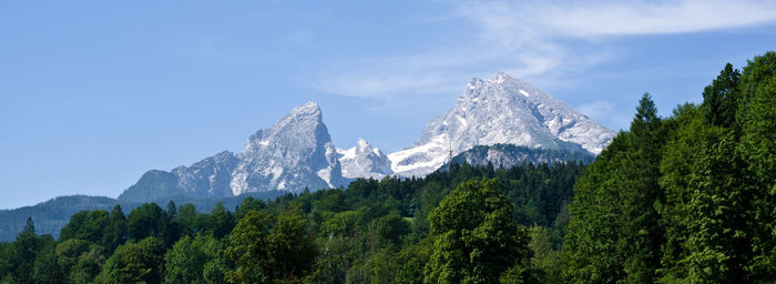 Panoramic view of trees and mountains against sky