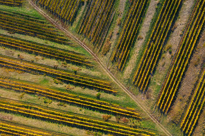 High angle view of railroad tracks on field