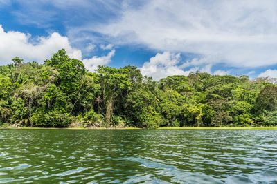 Scenic view of lake by trees against sky