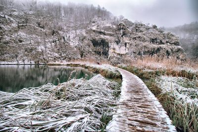 Scenic view of river amidst trees during winter