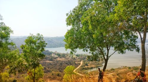 Trees on landscape against sky