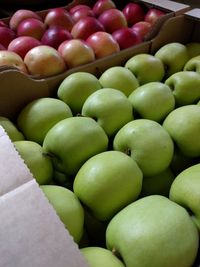 Full frame shot of fruits