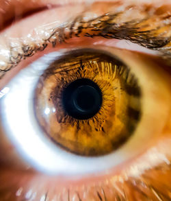 Extreme close-up of human eye