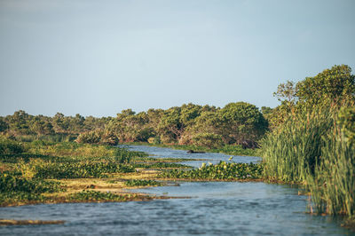 Scenic view of lake against clear sky