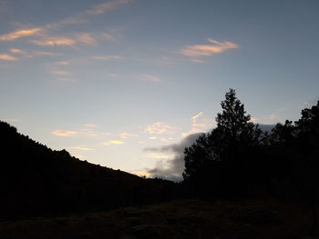 Silhouette trees against sky at sunset