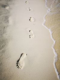 High angle view of footprints on beach