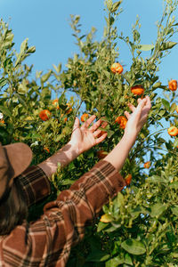 Low angle view of hand holding fruits