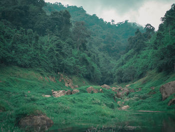 Scenic view of landscape