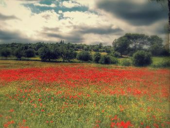 Scenic view of field against cloudy sky