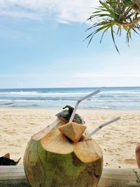 Close-up of fruit on beach against sky