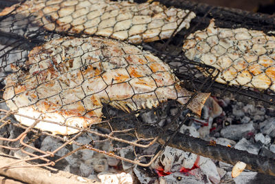 High angle view of fish on barbecue grill