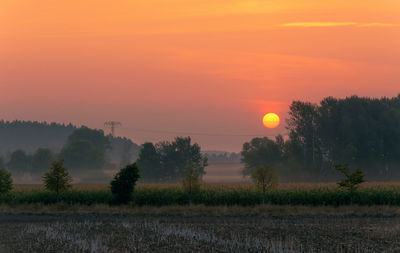 Scenic view of field against orange sky