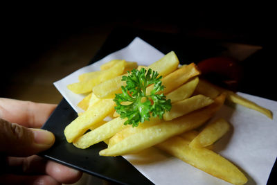 Close-up of person holding food