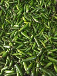 Full frame shot of green chili peppers for sale in market