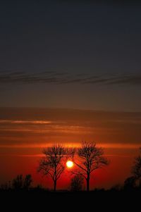 Silhouette trees on landscape against sky at sunset
