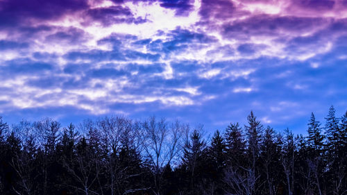 Silhouette trees against sky at sunset