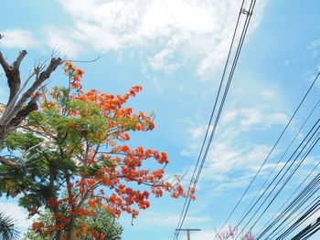 Low angle view of power lines against cloudy sky