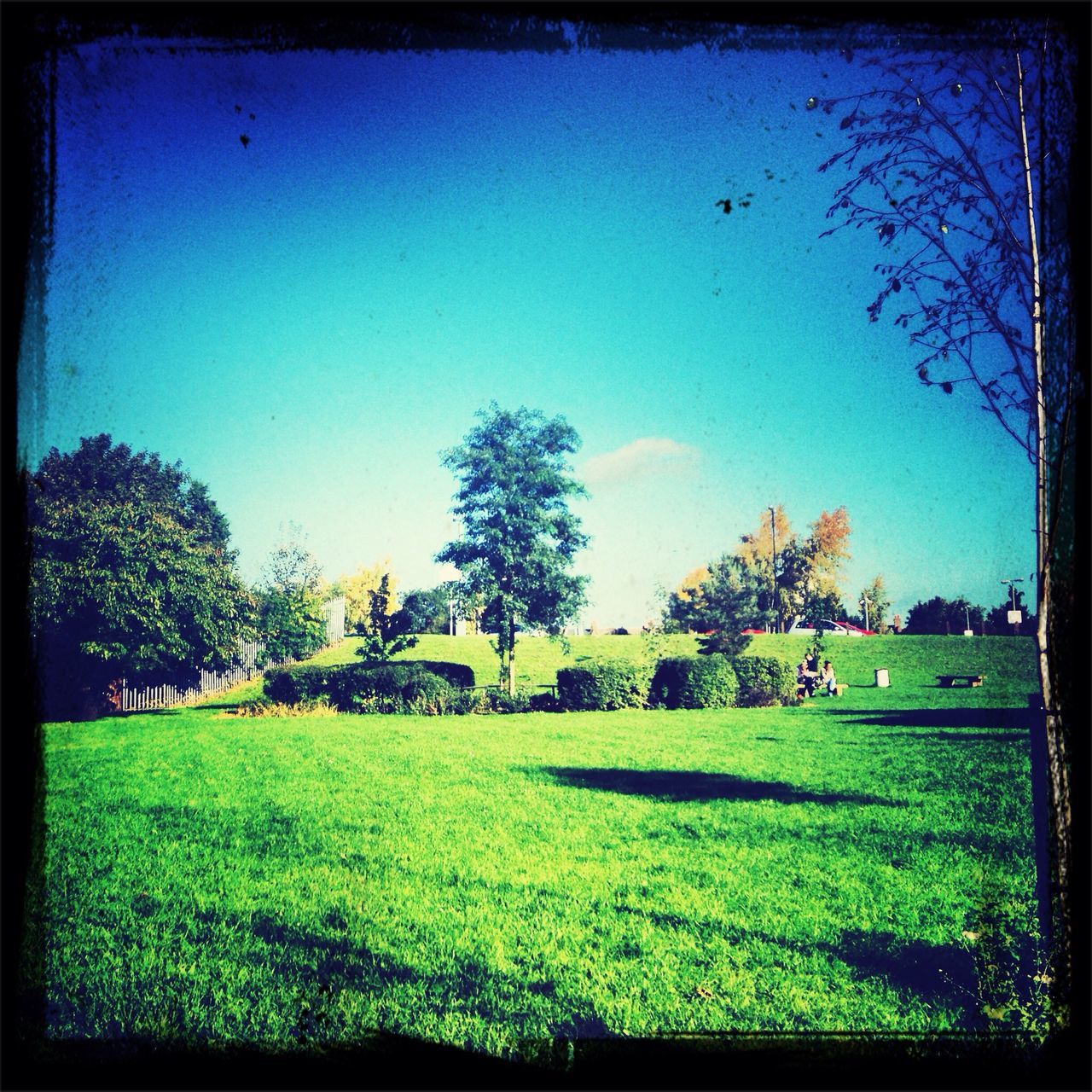 Newham City Farm