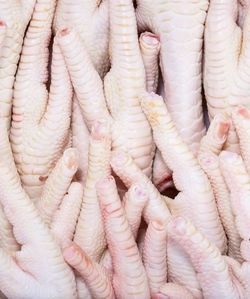 Fresh raw chicken feet. cut off from fresh chicken. chicken legs, raw, healthy food theme.