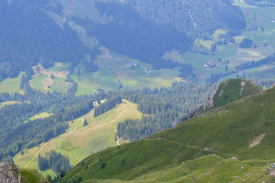 environment