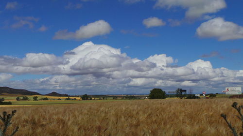 Scenic view of field against cloudy sky