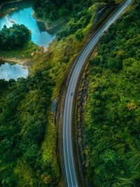 High angle view of road amidst trees in forest