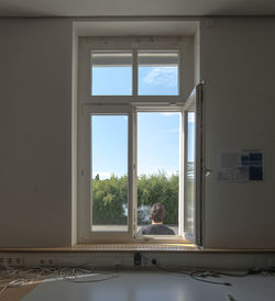 Trees seen through window