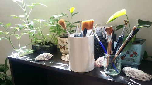 Potted plants on table at home