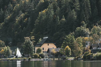 Scenic view of lake by building in forest