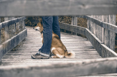 Dog sitting between legs of man