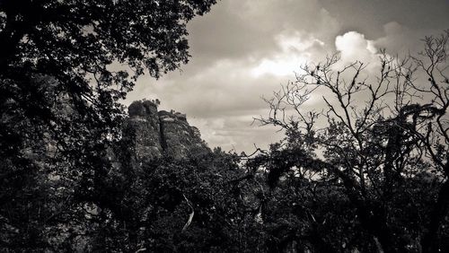 Low angle view of trees against cloudy sky