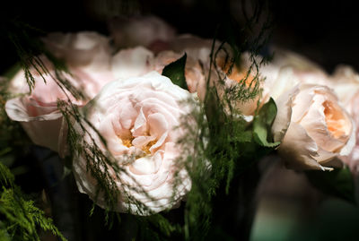 Close-up of rose bouquet