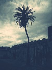 Low angle view of trees against cloudy sky