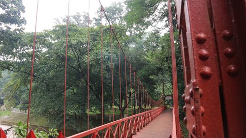 Footbridge amidst trees in forest