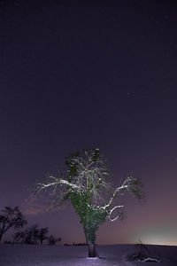 Scenic view of trees against sky at night