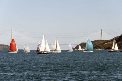 Sailing boats and yachts in bosporus cup in istanbul, turkey