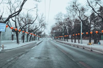 Road amidst bare trees against sky