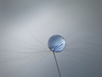 Close-up of light bulb over white background