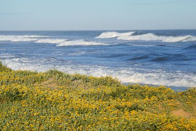 Scenic view of sea against sky