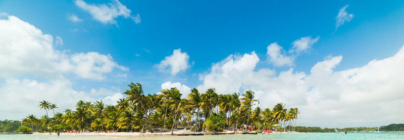 Panoramic view of palm trees by sea against sky