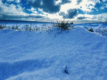 Scenic view of snow covered plants against sky
