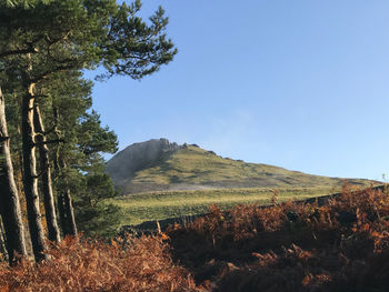 Scenic view of field against clear blue sky