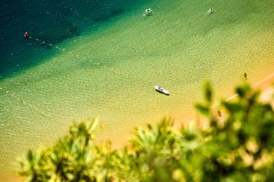 Aerial view of boat on sea during sunny day