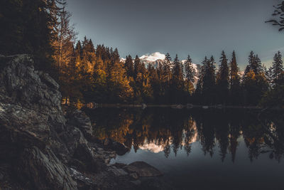 Scenic view of lake in forest during autumn